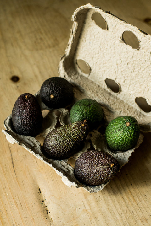 Organic Hass AvoKiddos