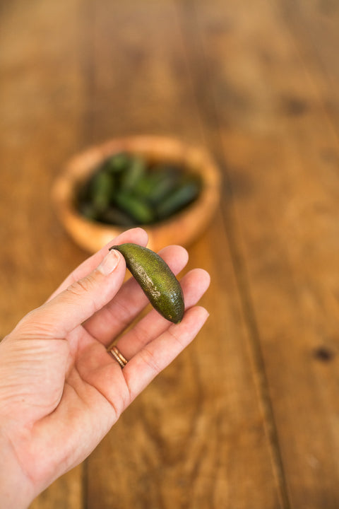 Organic Finger Limes