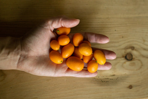 Organic Nagami Kumquat