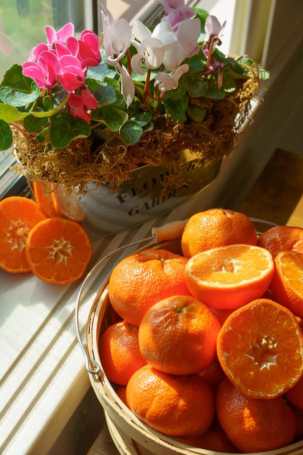 Organic Tango Mandarins