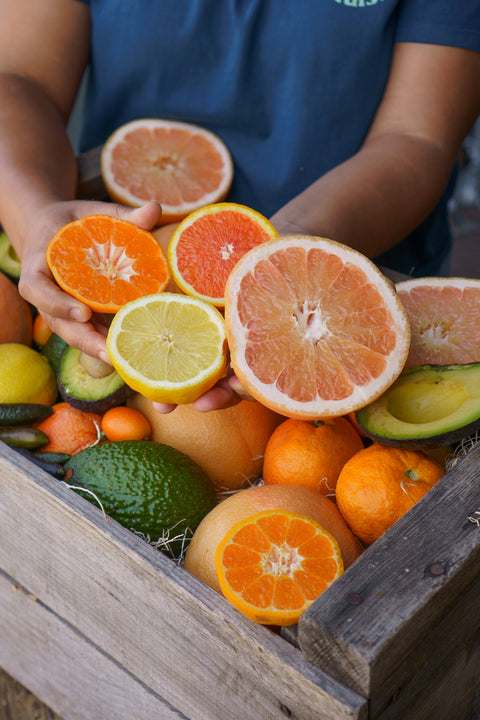 Organic Citrus & Avocado Box