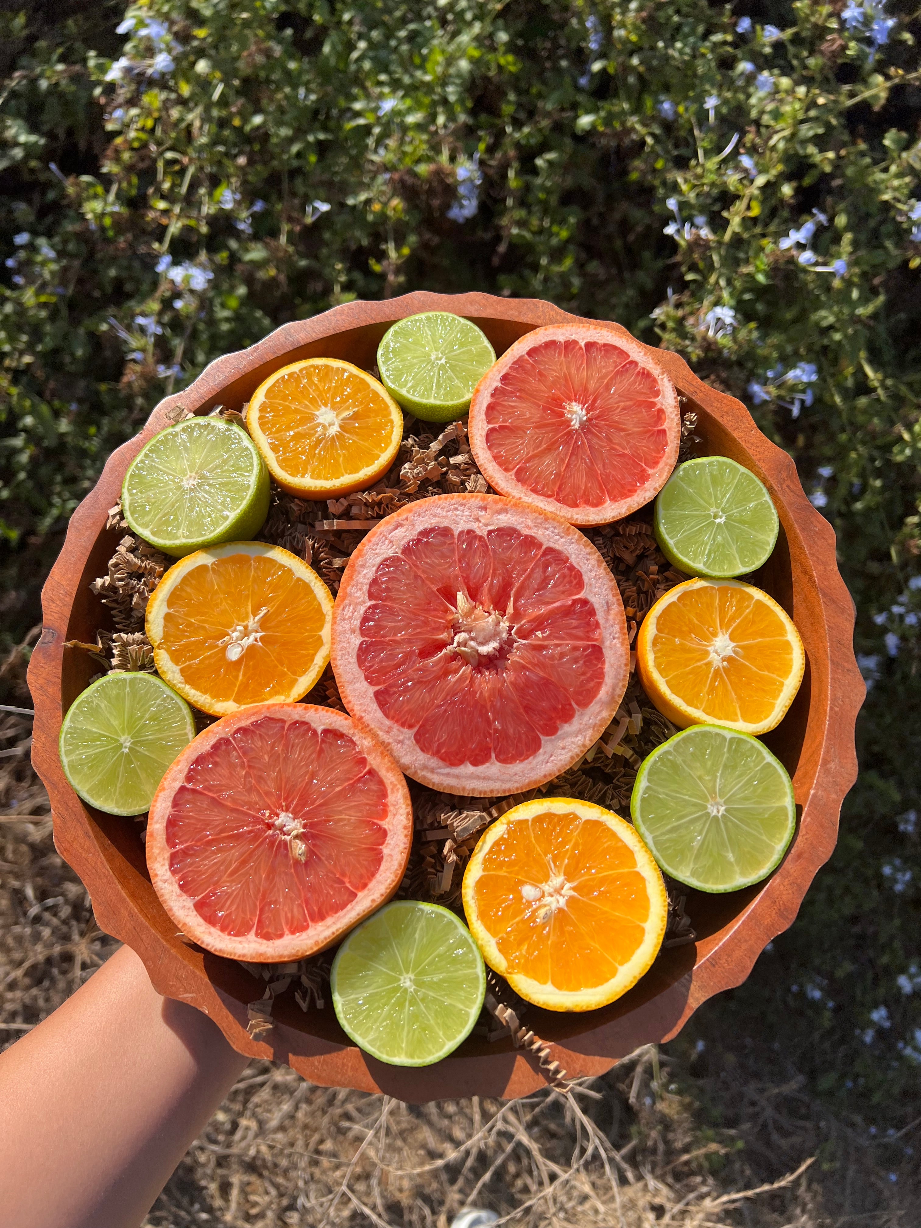 Organic Mixed Citrus "Juice" Box