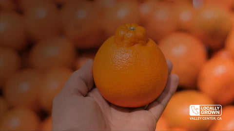 Proudly Sourced From Local Groves