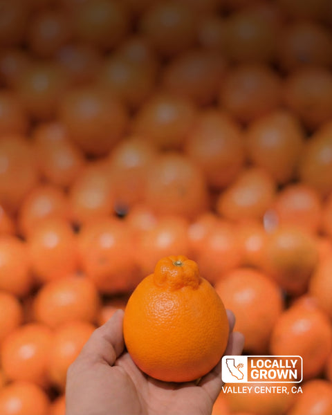 Proudly Sourced From Local Groves