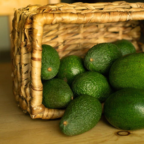 avocado aufbewahren box Organic Avocado Box – Dickinson Family Farms