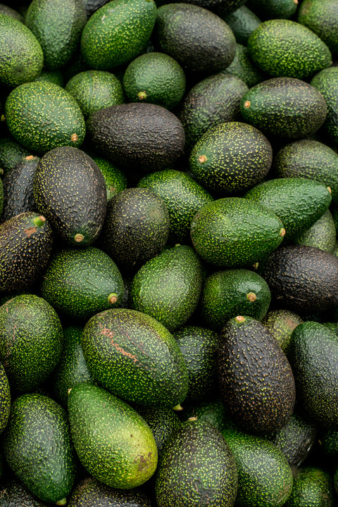 Organic Gem Avocados