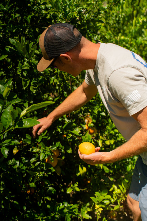 Organic Meyer Lemons
