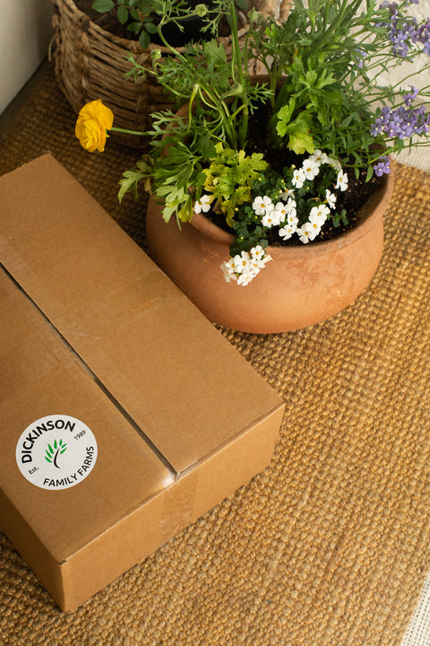 Organic Farmer's Choice Box