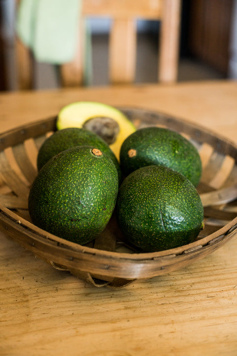 Organic Reed Avocados