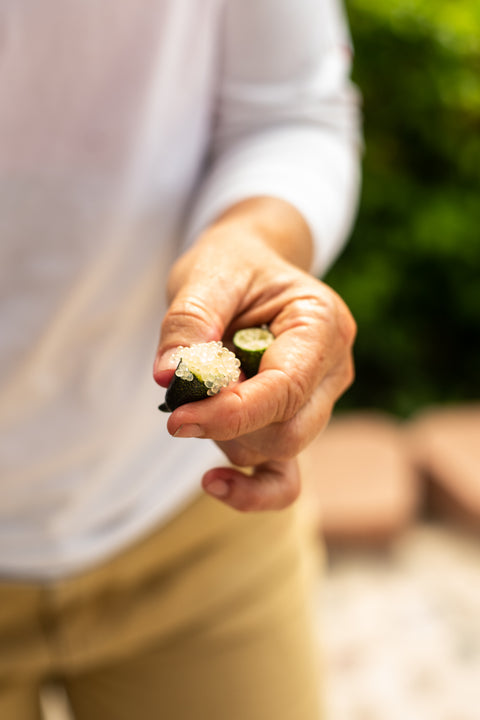 Organic Finger Limes