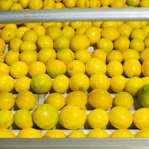 Organic Meyer Lemons
