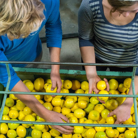 Organic Meyer Lemons