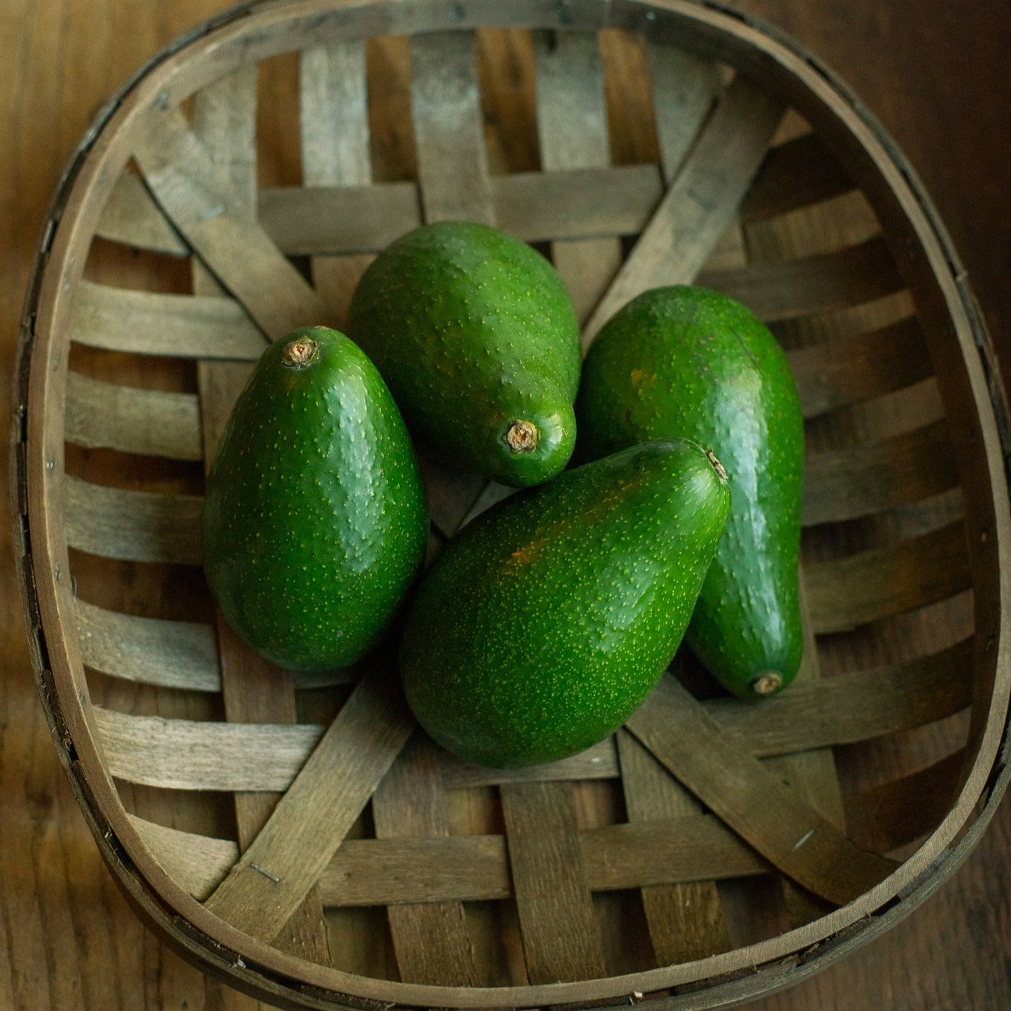 Organic Zutano Avocados