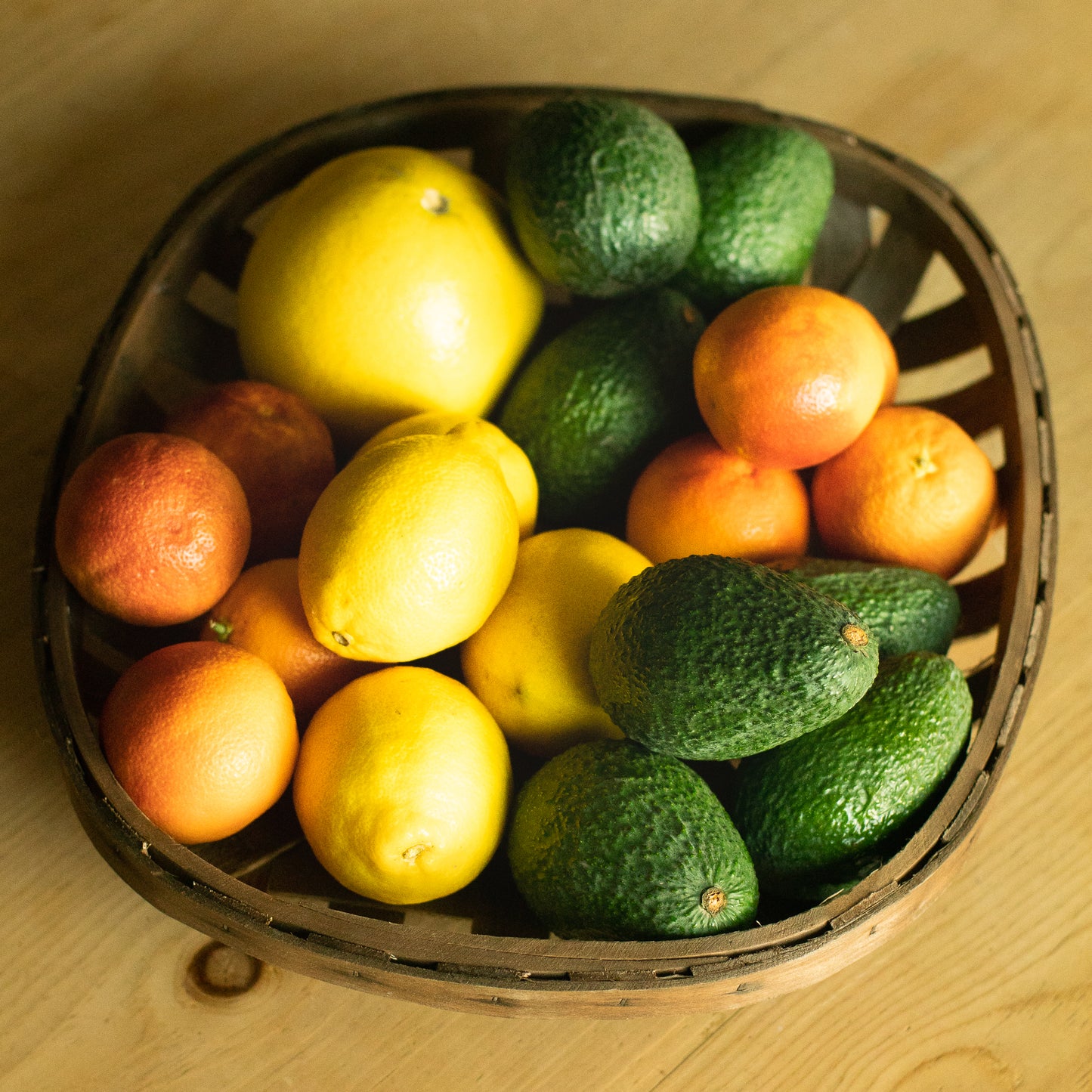 Organic Citrus & Avocado Box