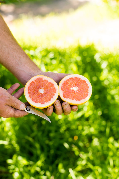 Organic Ruby Grapefruit